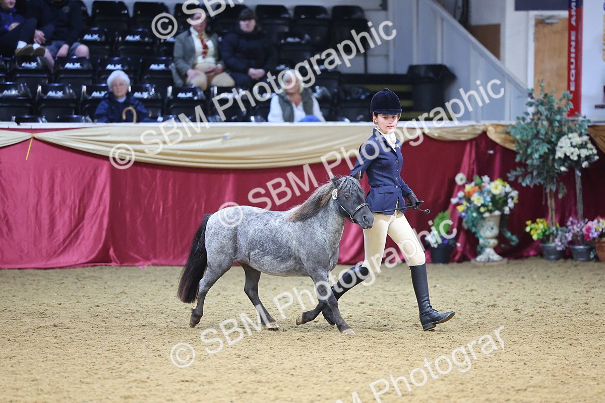 SBM_22779 - Class 903 - Supreme Final - IH Pre Vet