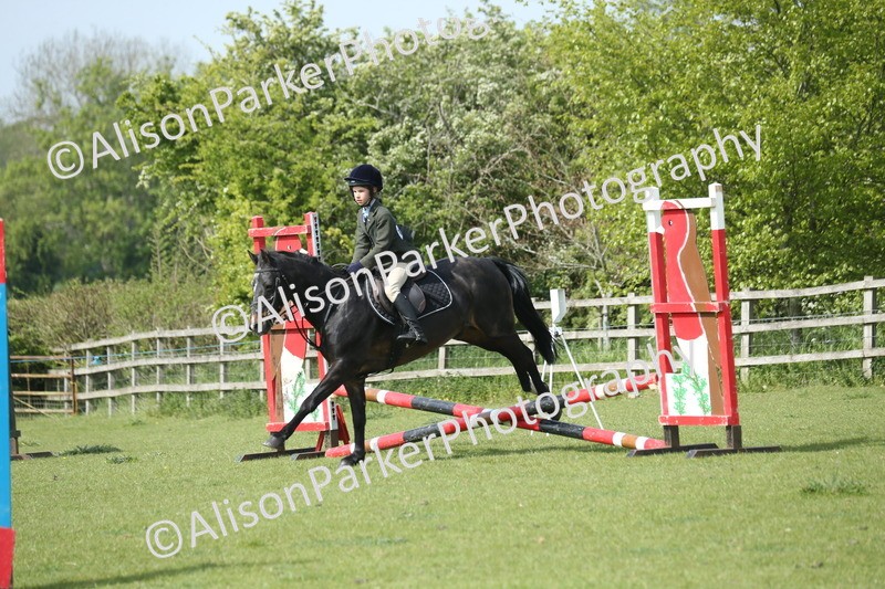 20260426-1472 - Class 14 - Novice 60cm