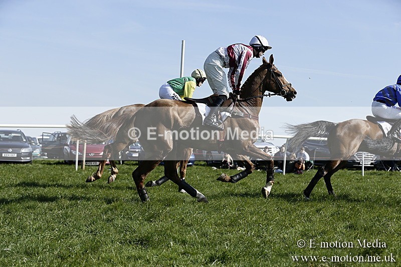 PtP 260317 192 - Mendip Farmers Point-to-Point Ston Easton 26/03/17