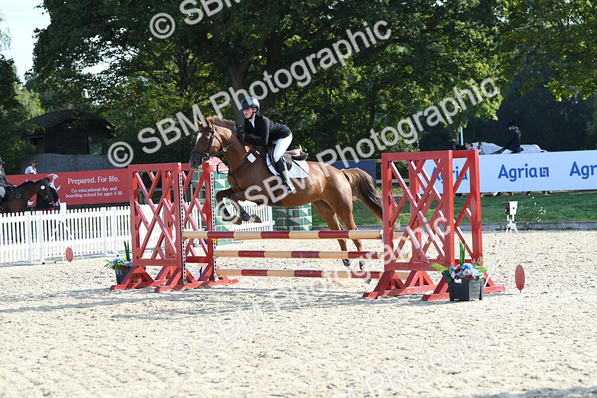 SBM_60502 - j25 - Junior Horse 80cm Championship