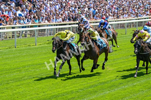 120725-Race 1-Remmooz-5497 - Race 1 2.00pm John Smith's Racing Handicap