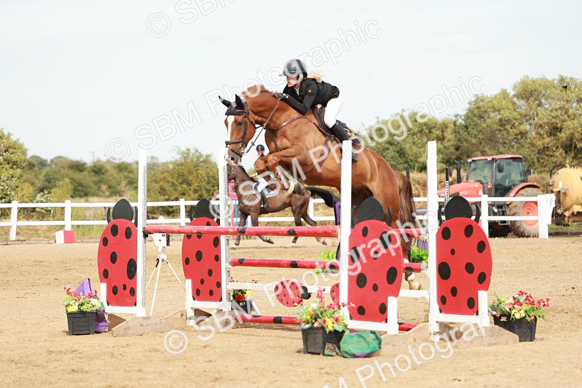 SBM_008143 - Class 4 - Senior Foxhunter - 1.20m Open