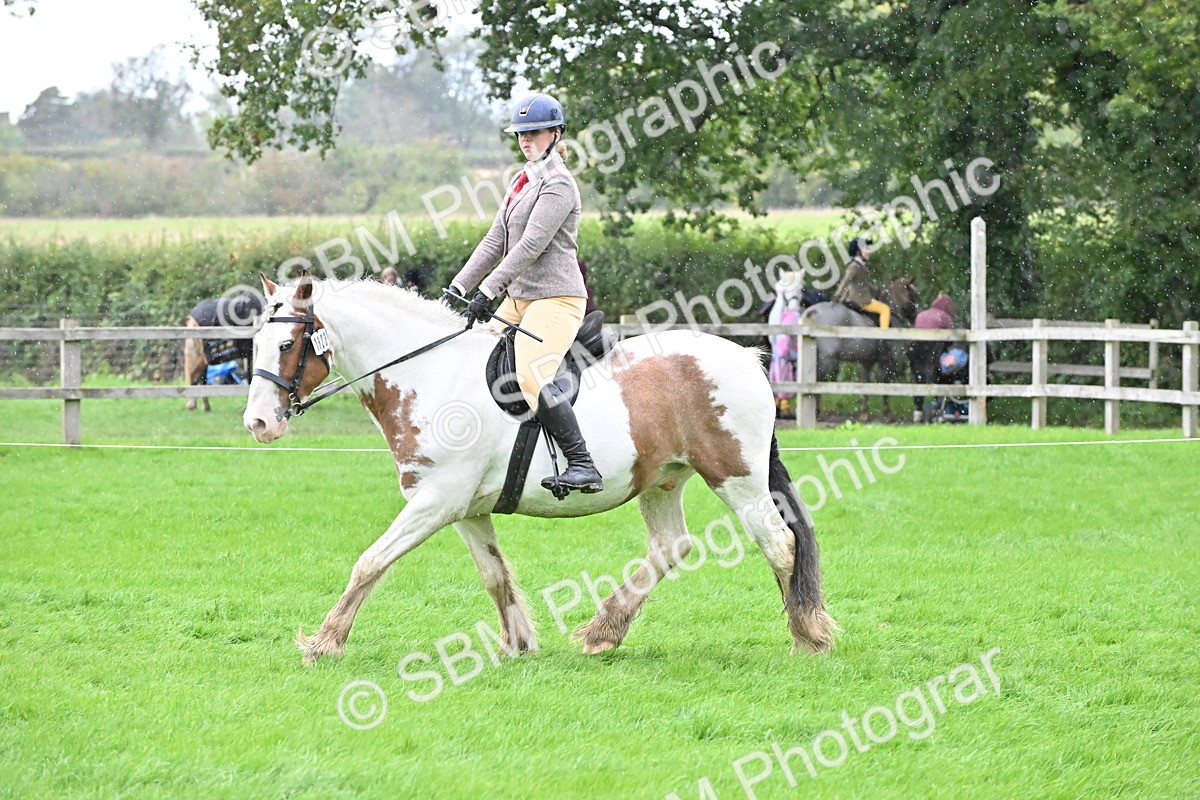 SBM_42965 - S12 - Family Horse & Pony