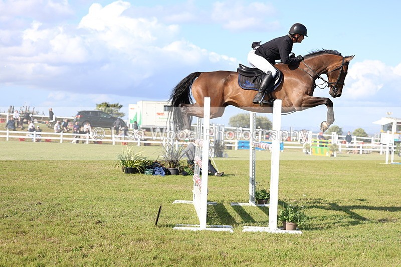 3E7A4312 - Class C: Showjumping Senior Foxhunter