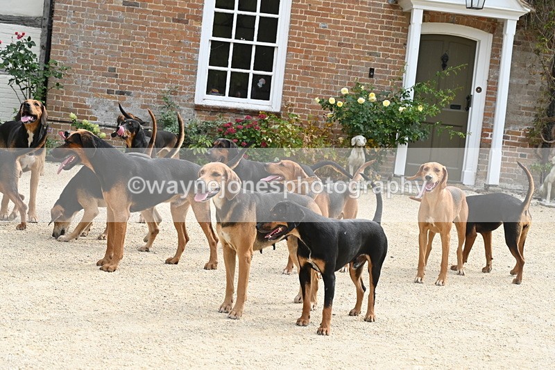 WJ6_3370 - Berks & Bucks - The Old farmhouse - Hound Exercise 20-08-25