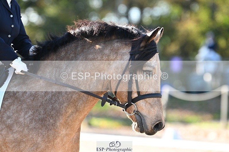 231110-113036-00445 - Cls 2 Prelim 17(a)Q