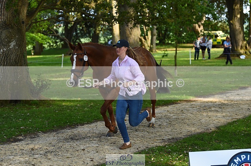 230525-173144-01502 - 323-CHESTNUT_BOBBY-Molly_Fletcher-WEDTrotUp+DR