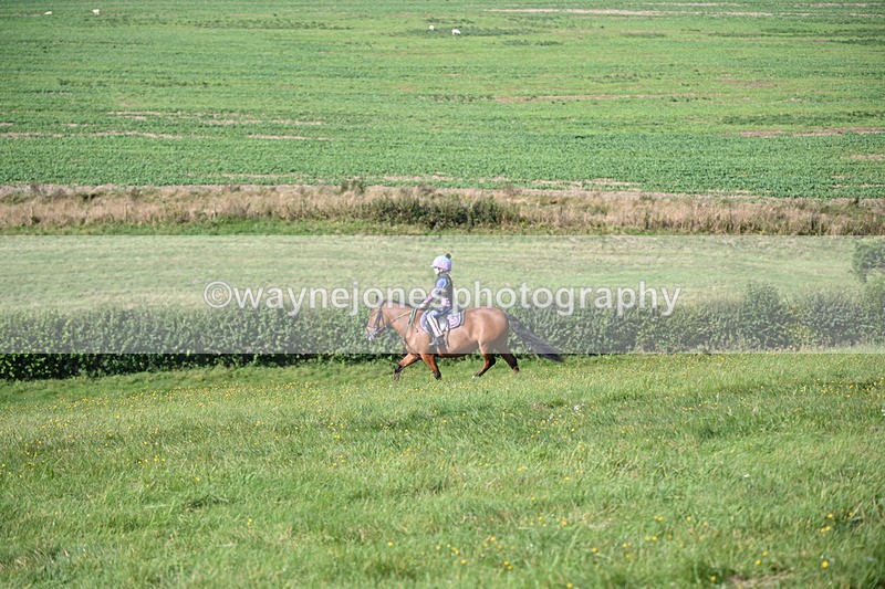 WJ6_6620 - Time 10:21 to 10:35