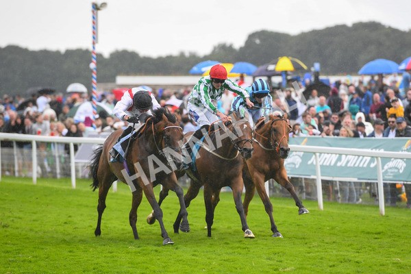 150723-Race 4-Hamish-0424 - Race 4 3.45pm John Smith's Silver Cup Stakes
