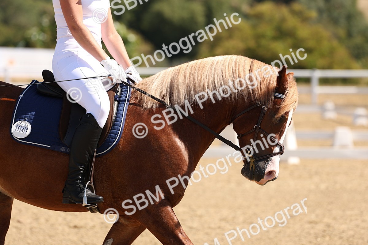 SBM_001087 - Intro 2