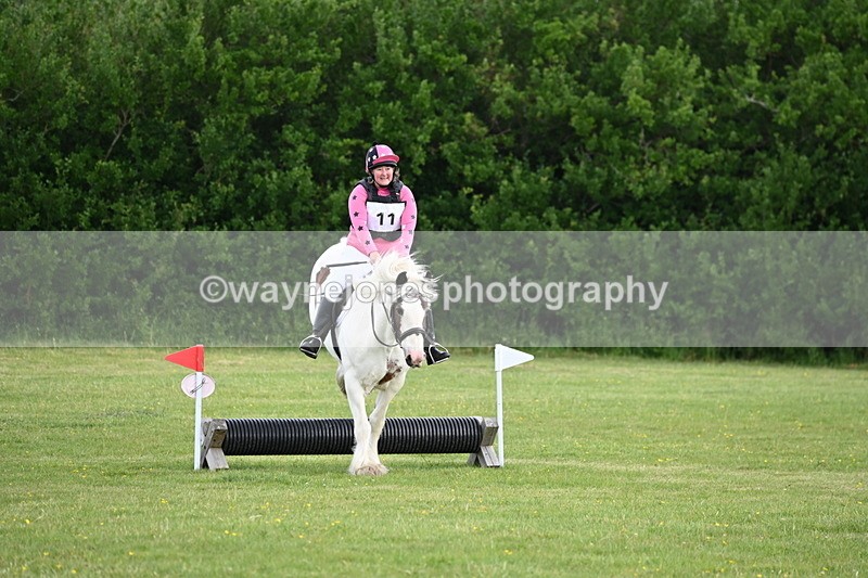 WJ6_2519 - Class 2 40cm