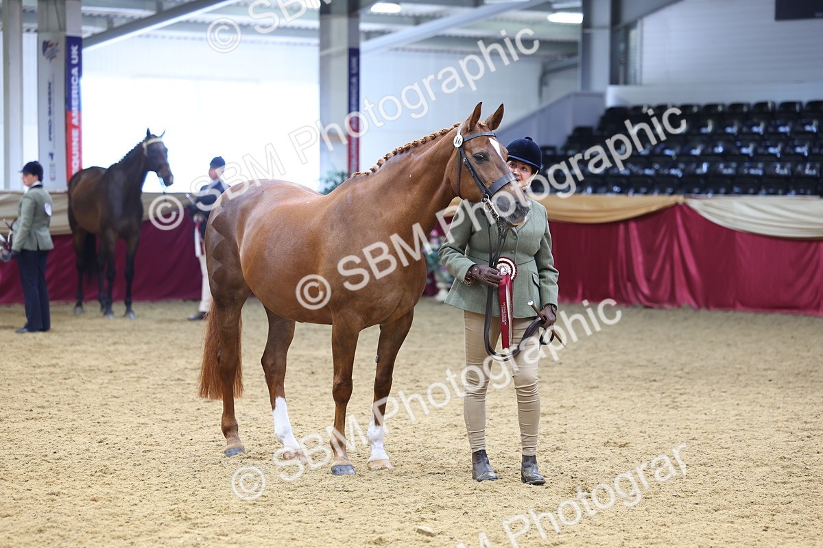 SBM_22997 - Class 903 - Supreme Final - IH Pre Vet