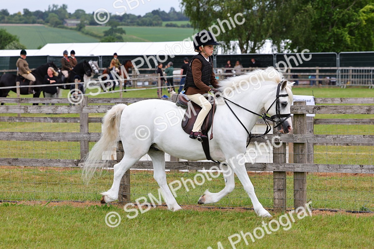 SBM_08478 - Class 42-43 - LIHS BSPS Heritage Working Sports Pony