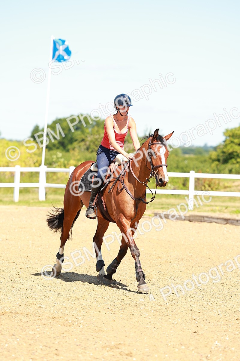 SBM_005261 - 80cm