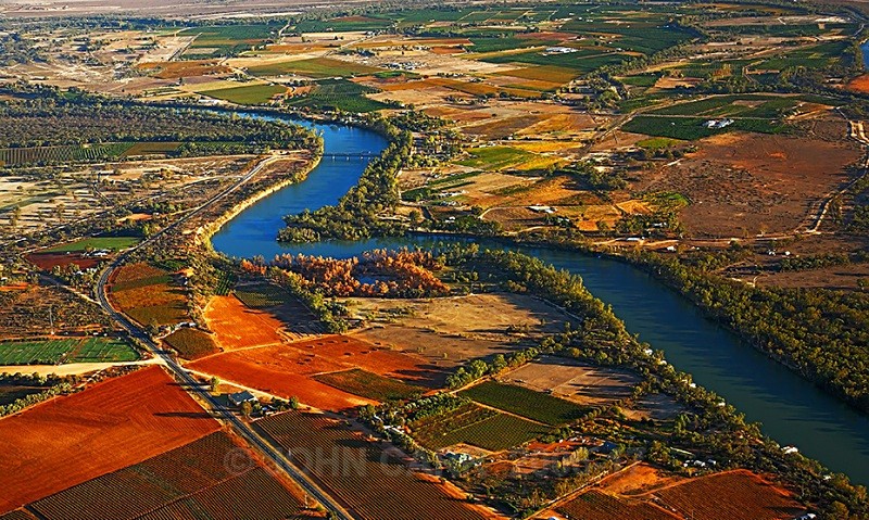 Murray River Bend from a Hot Air Balloon-3872 - AERIAL PHOTOS