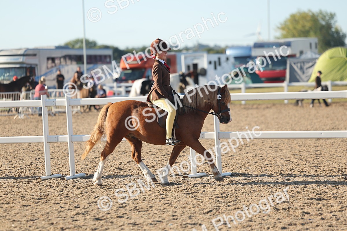 SBM_10890 - Class 301 - Ridden M&M Small Breeds