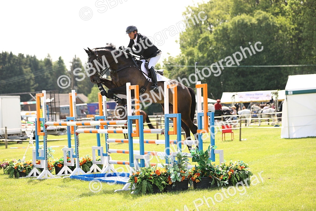 SBM_02998 - Class 201 - British Horse Feedds Speedi Beet HOYS Grade C