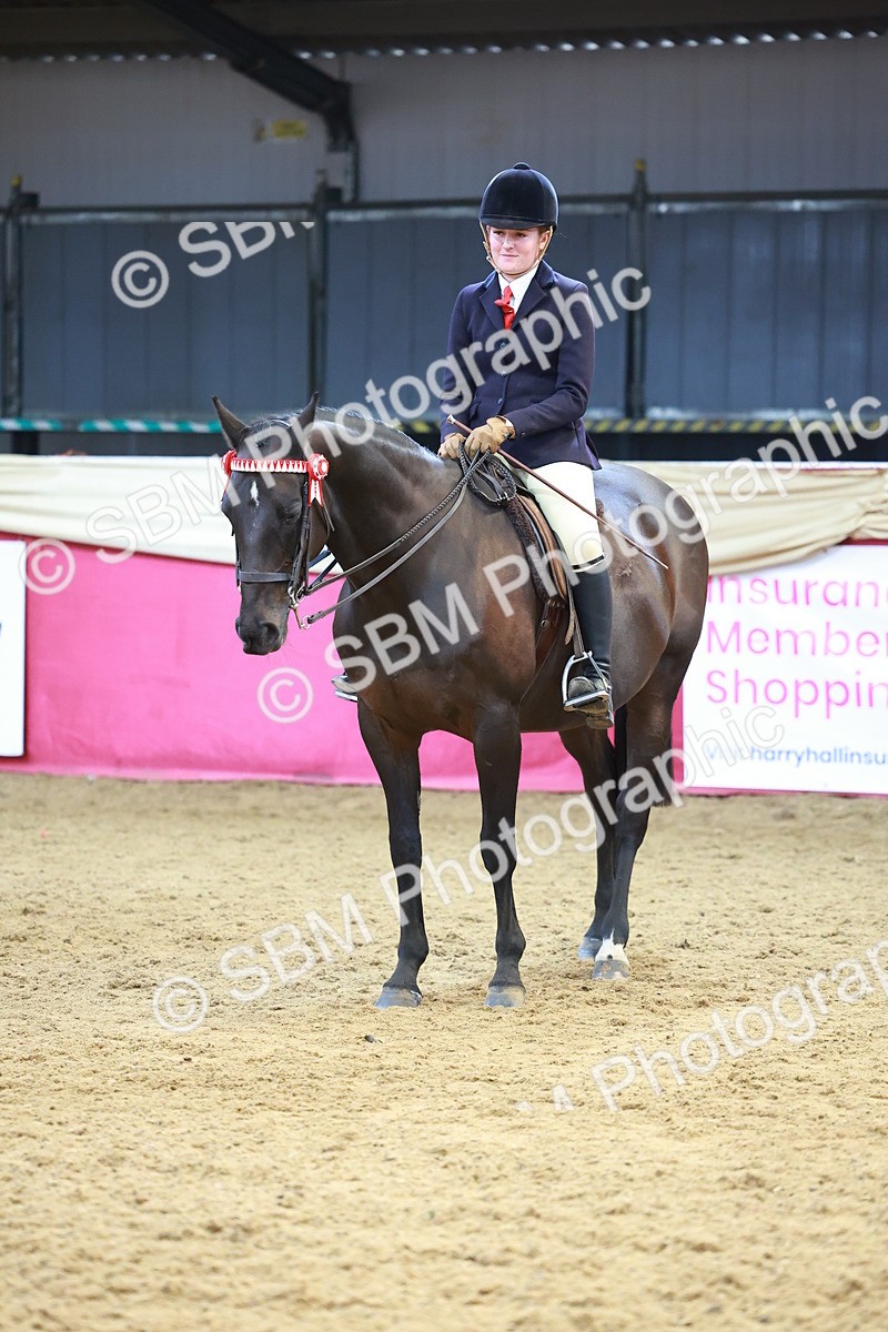 SBM_12667 - Class 103 - HOYS Veteran Qualifier - Ridden Pre Vet