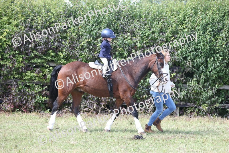 20250831-3275 - Class 24 - Absolute Beginners Pony