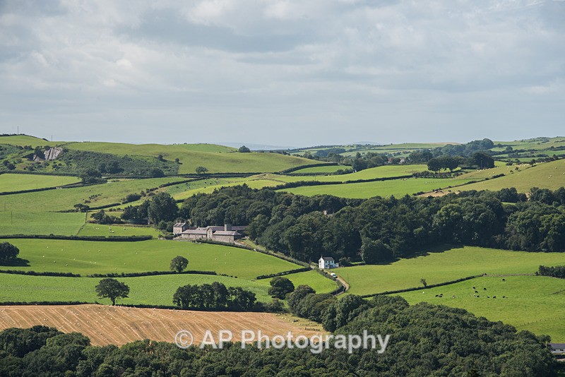 ACP_2480-1 - Rural Views