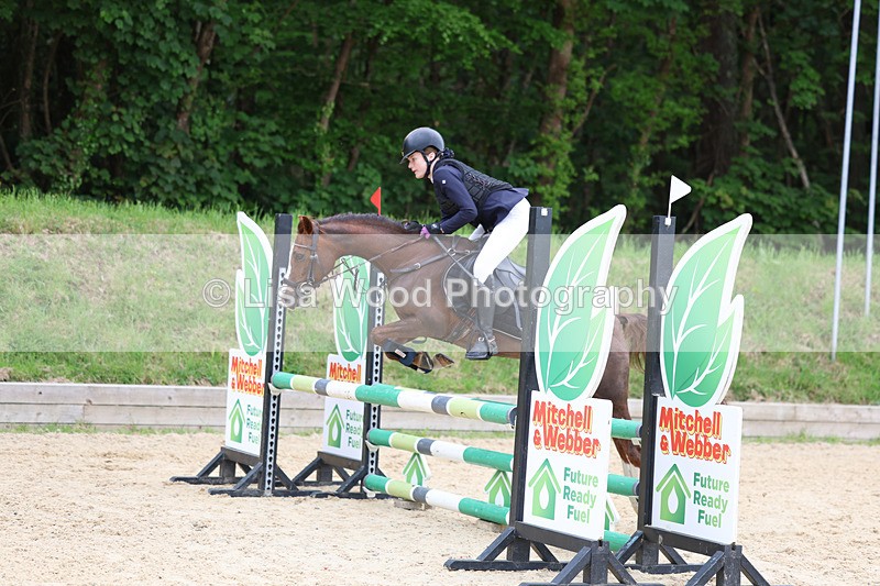 3E7A0106 - Class 13: Pony British Novice/80cm open