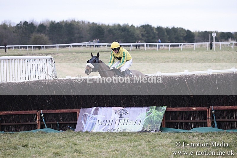 PtP 180218 232 - Combined Services Point-to-Point Larkhill 18/02/18