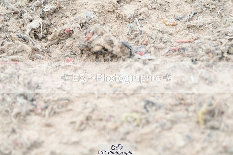 250807-141632-01602 - 1m plus Round 2