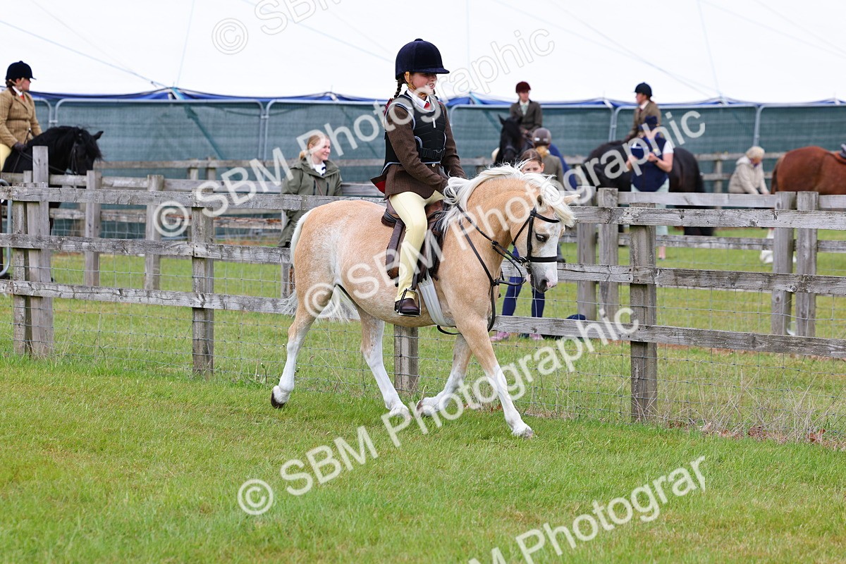SBM_08481 - Class 42-43 - LIHS BSPS Heritage Working Sports Pony