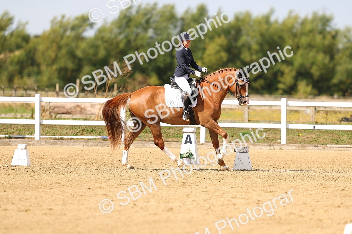 SBM_012017 - Class 2 - Prelim 19 11.39-12.56