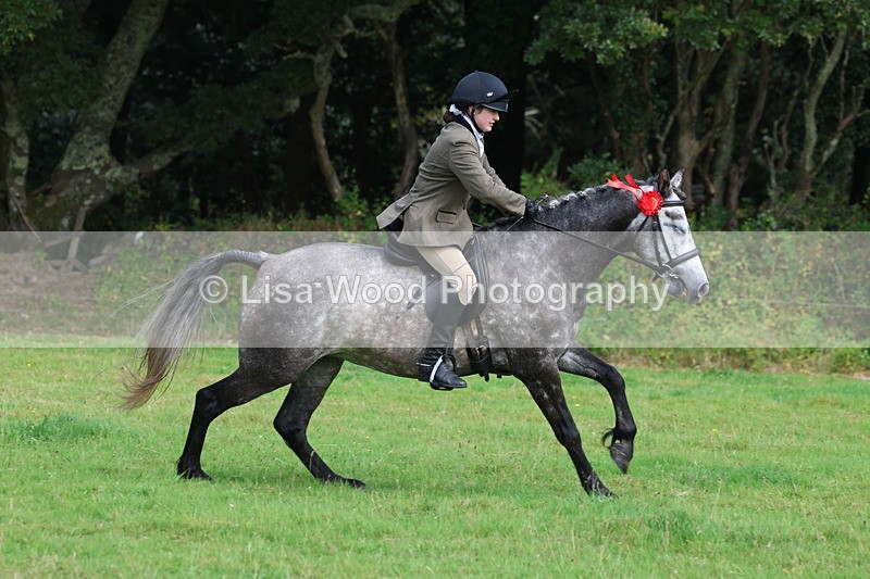 3E7A6134 - Working Hunter Championship