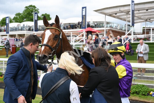 yr21052022r3-28 - Race 3: 3:30pm William Hill Best Odds Guaranteed Stakes