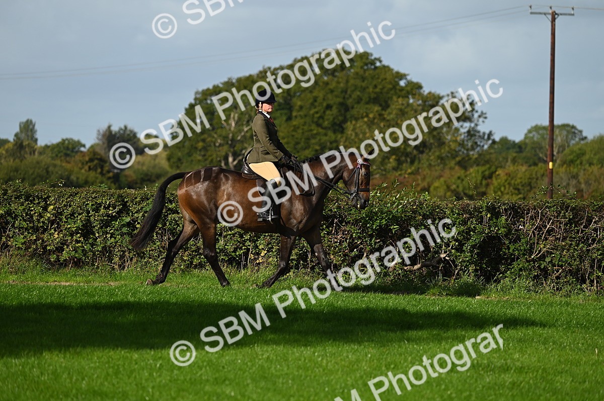 SBM_01278 - S2 - TSR Ridden Horse Showing
