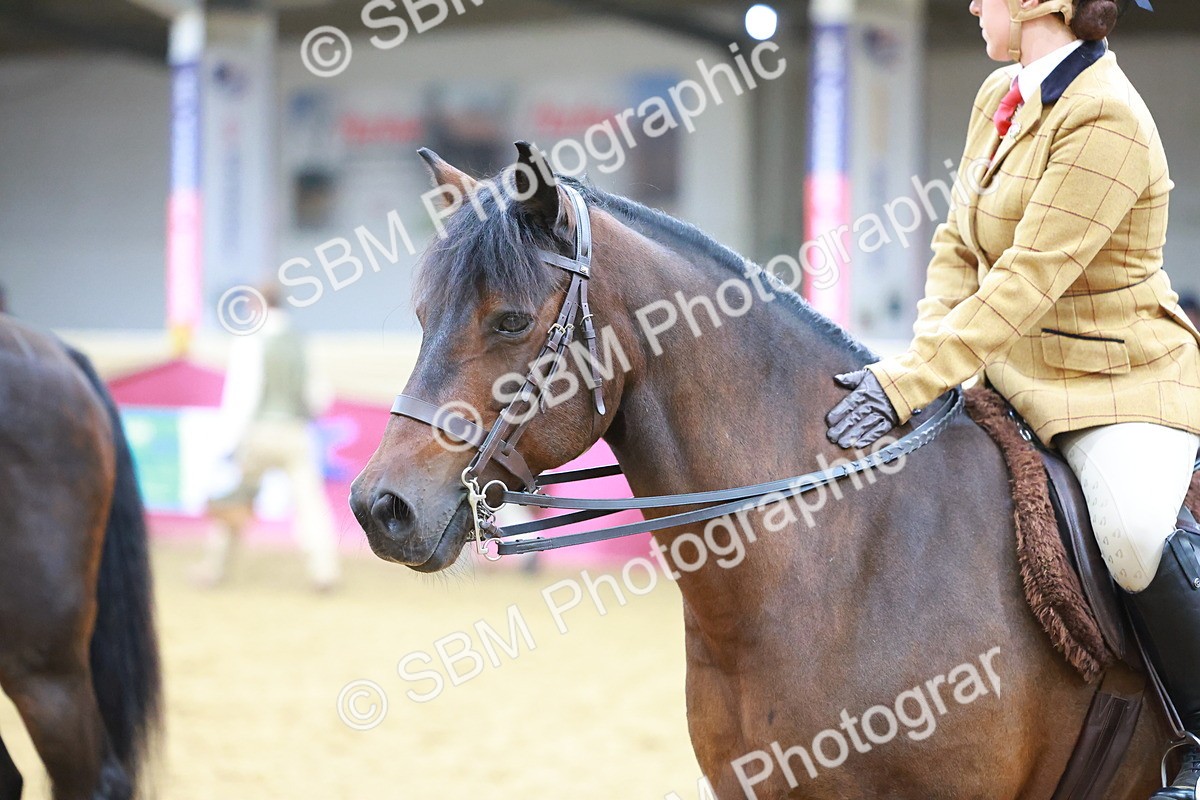 SBM_09819 - Class 102 - HOYS Veteran Qualifier - Ridden Veteran