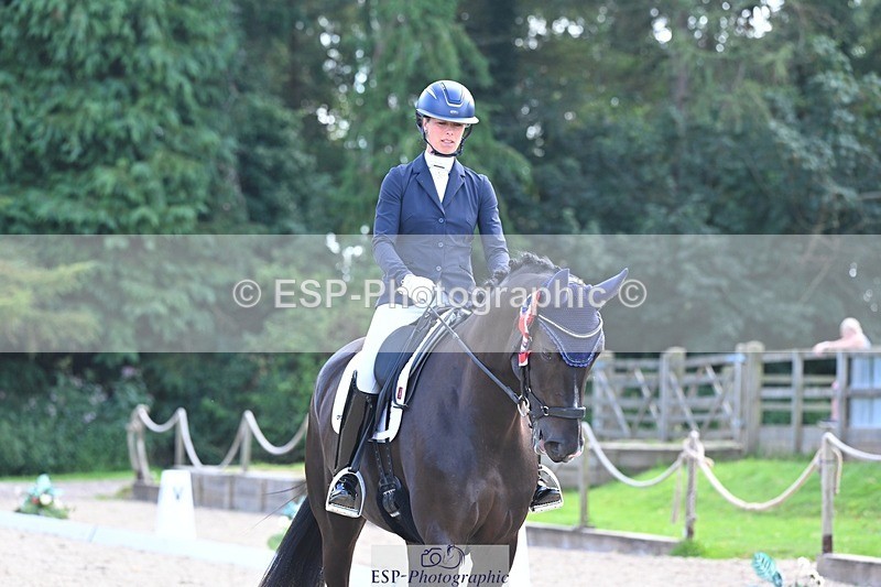 240809-163502-02391 - Novice Gold