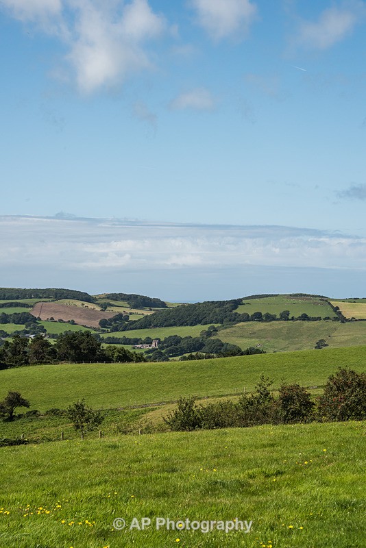 ACP_2494-1 - Rural Views