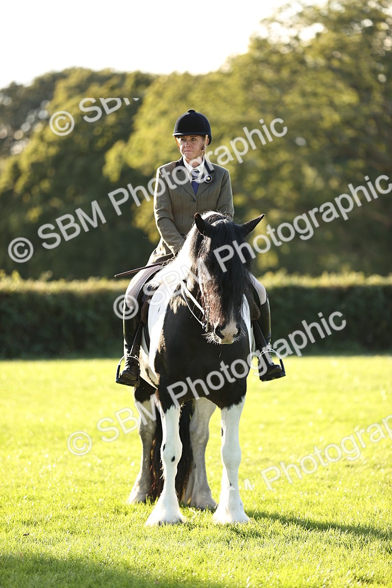 SBM_30125 - Novice & Newcomers Supreme Championship
