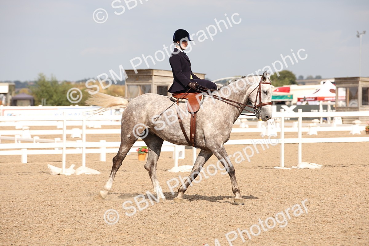 SBM_06763 - Class 24 Concours d'elegance
