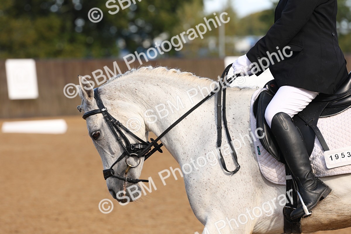 SBM_37508 - D18 - Grand Tour Championship Novice 2