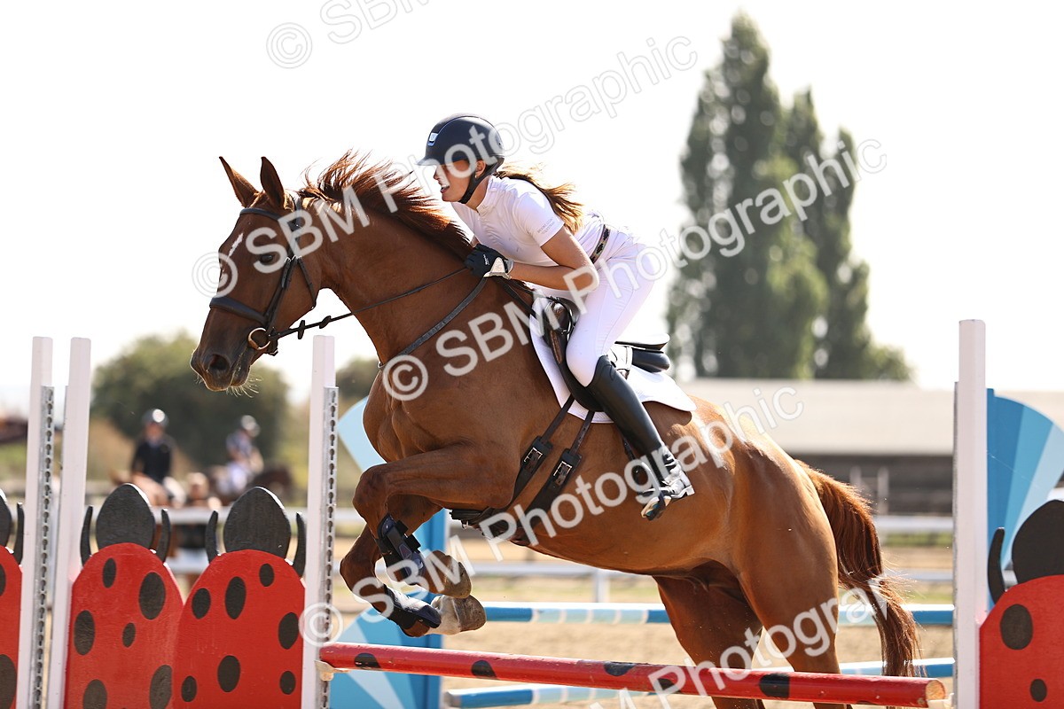 SBM_005810 - Class 9 - Senior British Novice - 90cm