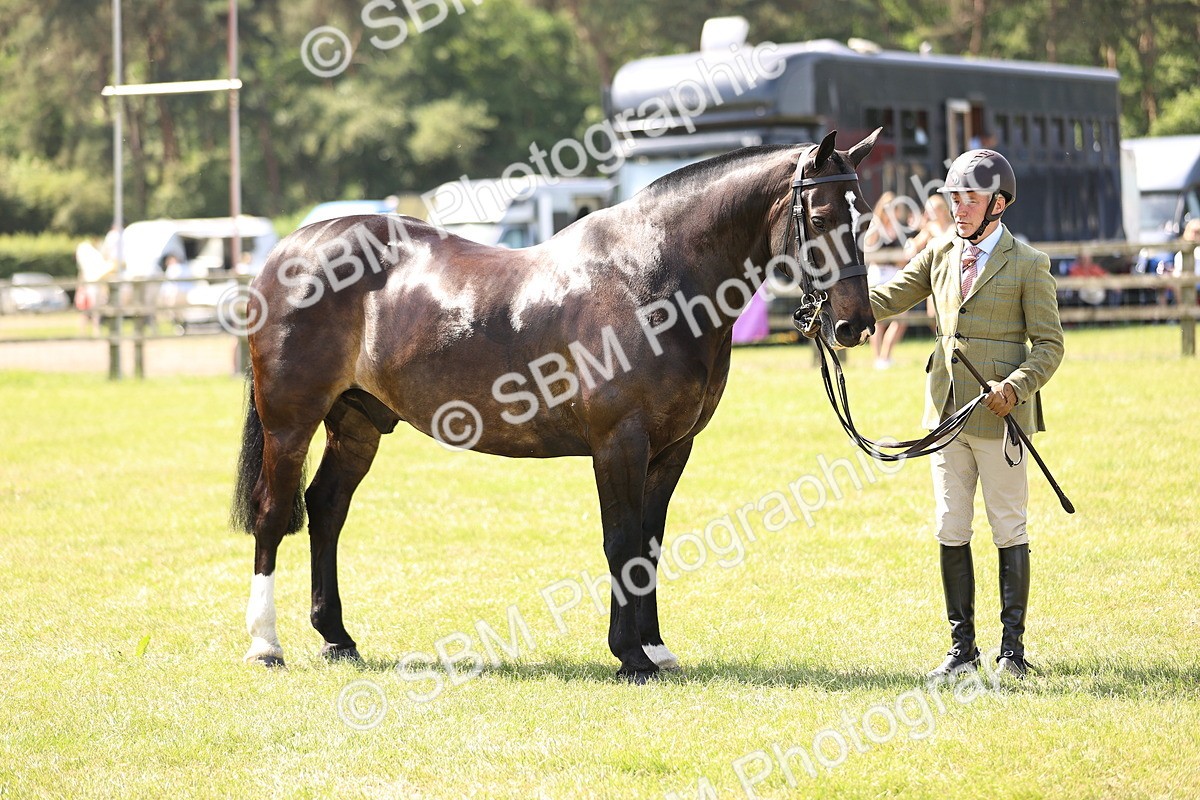 SBM_13807 - Class 77 - LIHS BSHA Rising Star Cobs