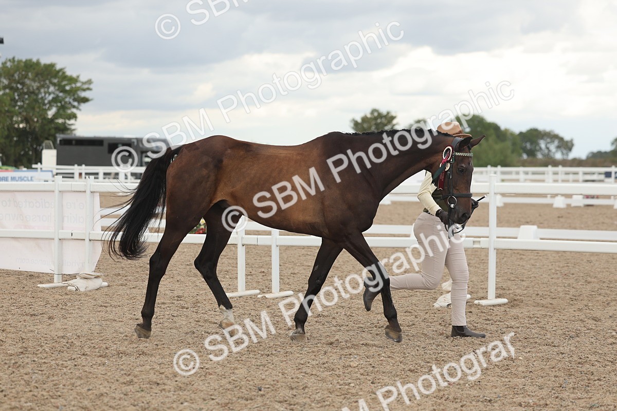 SBM_06949 - Class 25 - IH Foreign Breeds - Purebred
