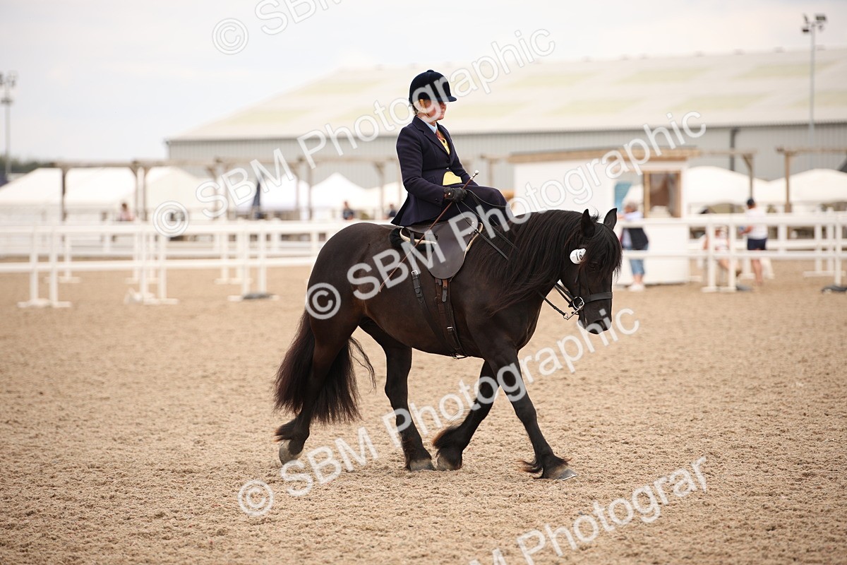 SBM_05386 - Class 22 SSA Equitation