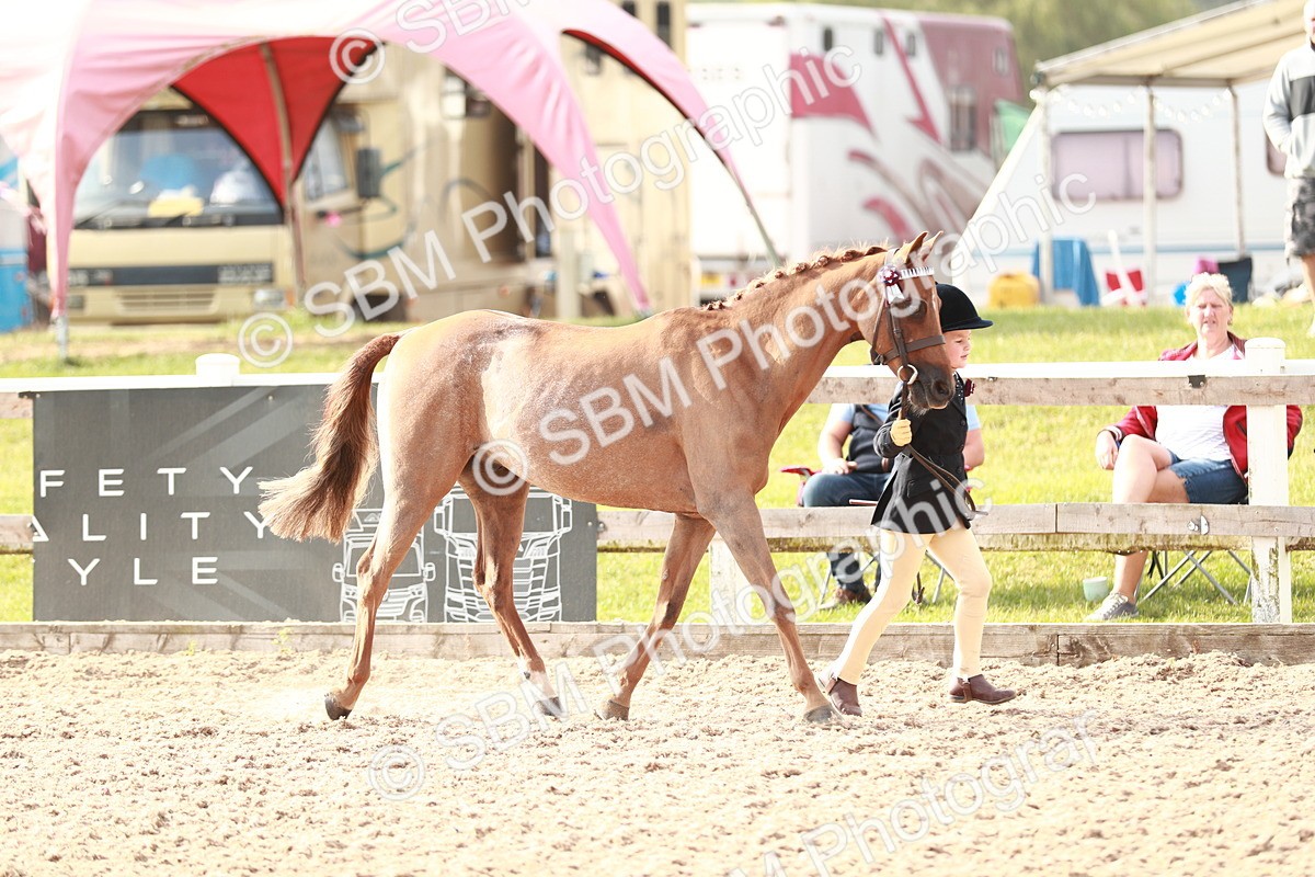 SBM_09866 - Class 203 Young Handler, 10 years and under