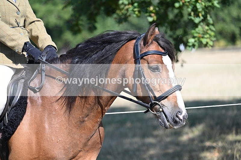 WJ7_3534 - Class 9 Mountain & Moorland Ridden