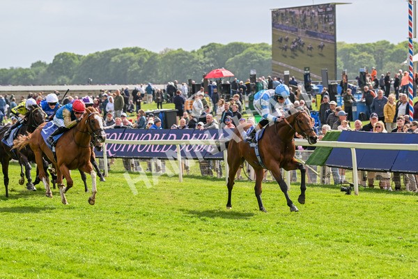 150525-Pride Of Arras-4690 - Race 4 3.45pm Al Basti Equiworld Dubai Dante Stakes
