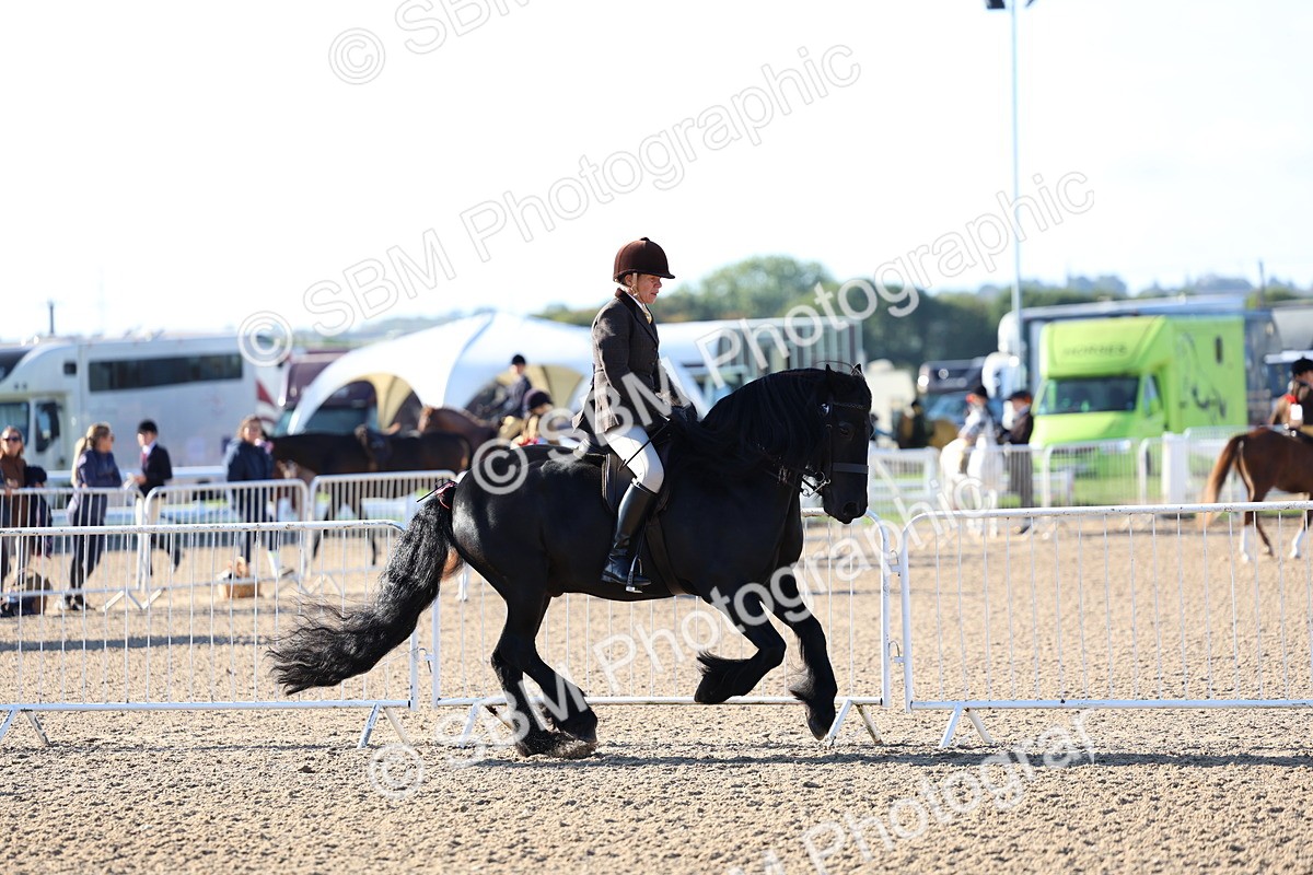 SBM_08780 - Class 302 - Ridden M&M - Large Breeds