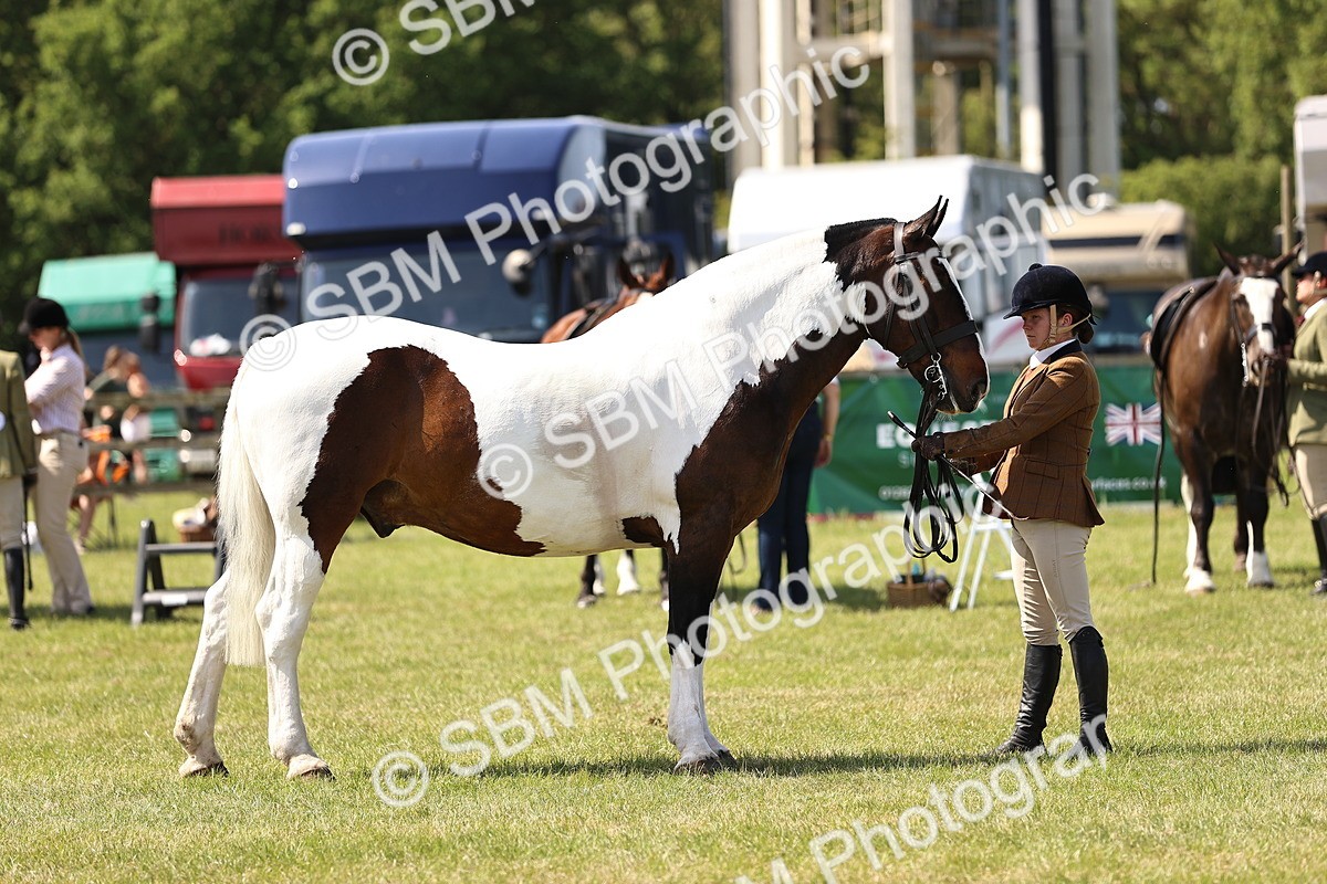 SBM_13825 - Class 77 - LIHS BSHA Rising Star Cobs