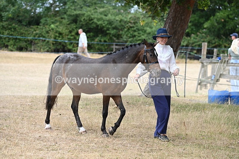 WJ6_7951 - Class 10 Coloured in Hand