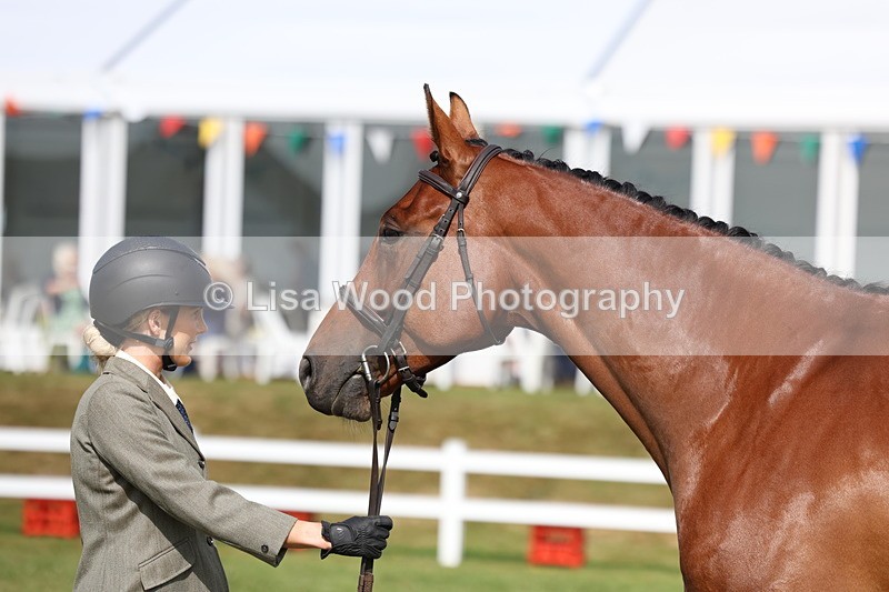 3E7A9011 - Class 3: Rising Star S/L Hunter