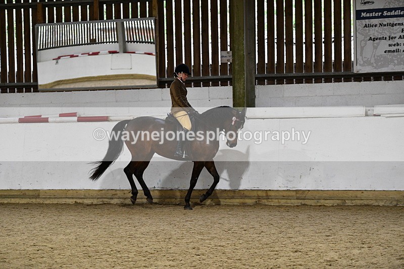 WJ5_8854 - Class 15 Ridden Show Horse